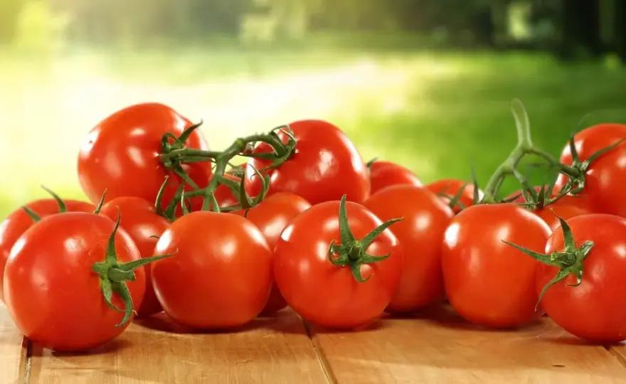 Tomaten lagern - Kühlschrank? So bleiben sie aromatisch!