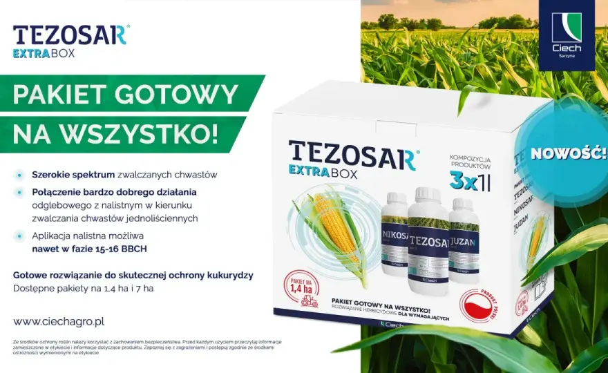 Tezosar 500 SC - Jak skutecznie zwalczać chwasty w kukurydzy?