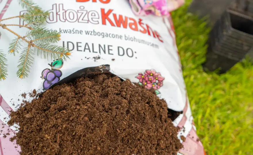 Lekko kwaśne podłoże (pH 5,6-6,5) - Klucz do zdrowych roślin!