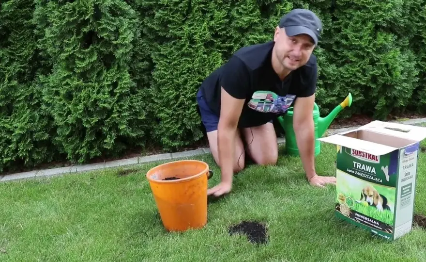 Skuteczne metody na perz w trawniku - jak go zwalczyć raz na zawsze