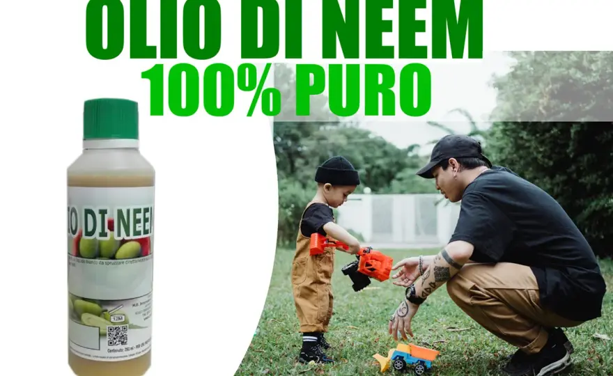 Olio di Neem - Funziona davvero? Guida completa all'uso