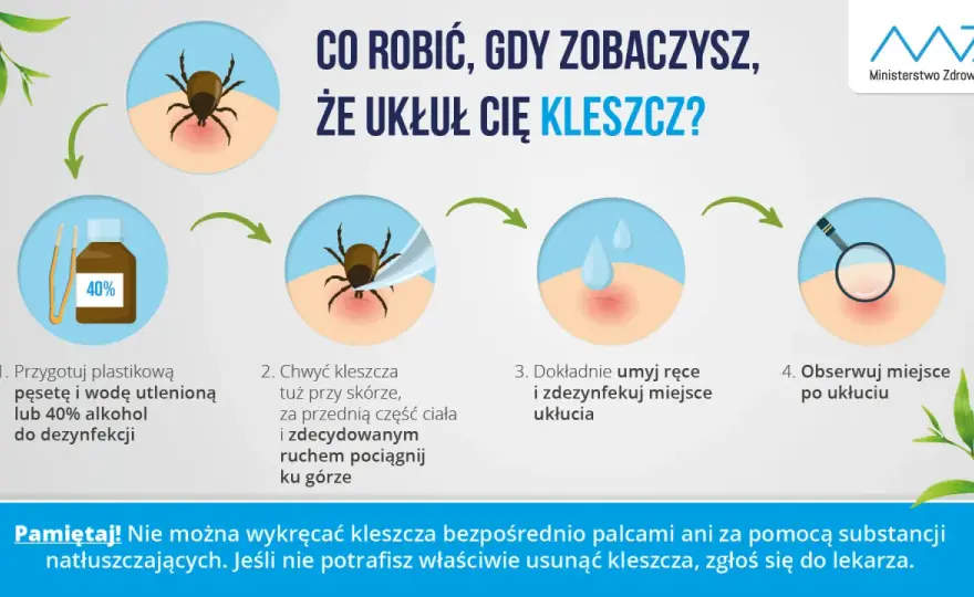 Kleszcz - jak usunąć i rozpoznać objawy? Pełny poradnik