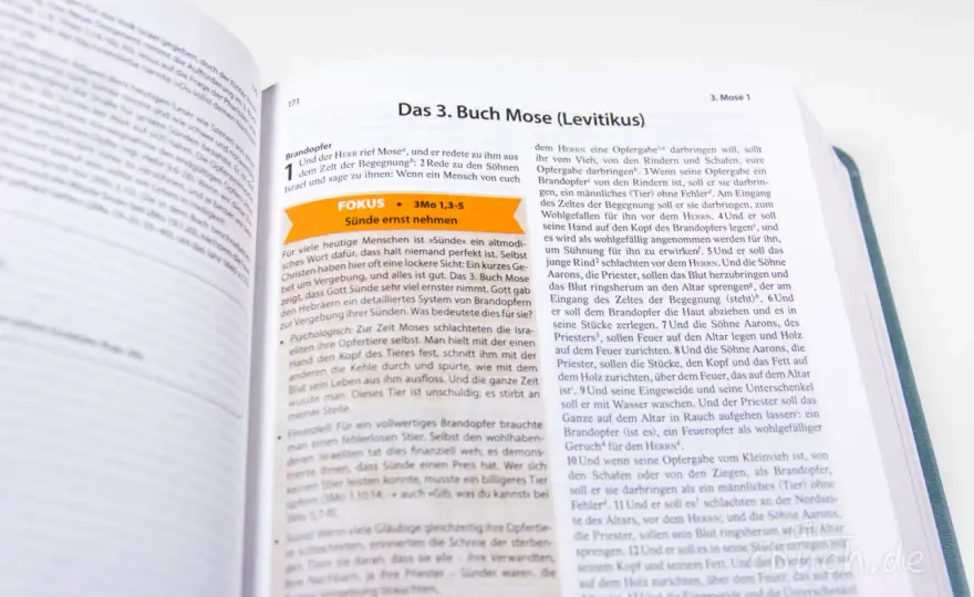 Sein Wort, meine Welt - Wie die Bibel dein Leben formt