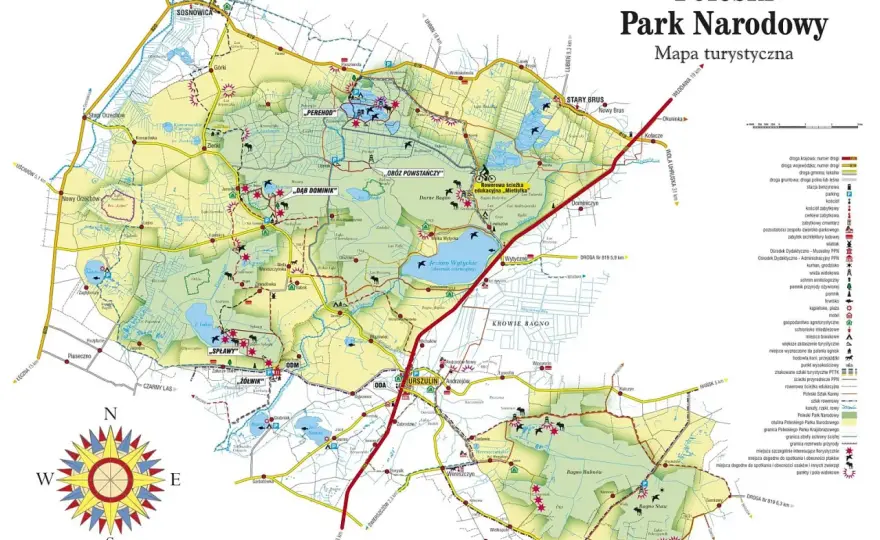 Poleski Park Narodowy z psem - Jak planować wyjazd?