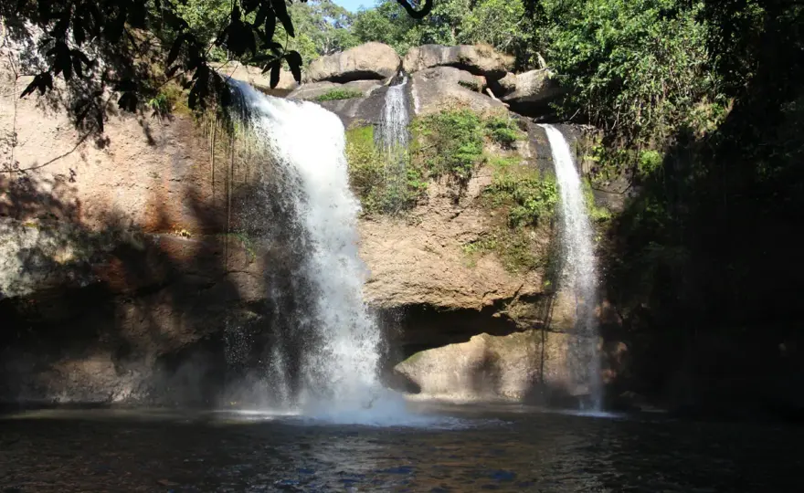 Khao-Yai-Nationalpark entdecken - Wasserfälle, Trails und Tiere