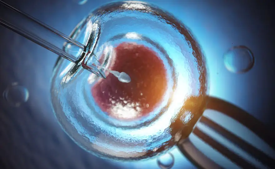 In vitro - ile naprawdę kosztuje? Realne ceny i ukryte koszty