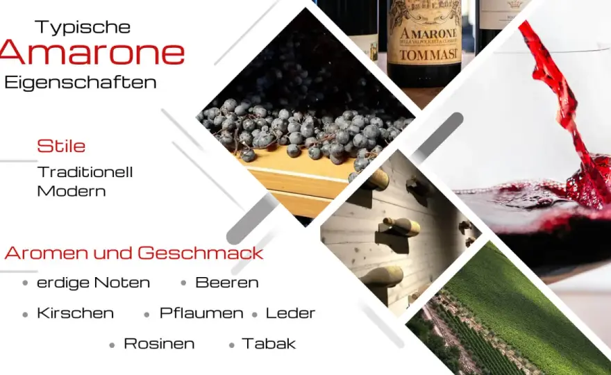 Amarone verstehen - Rebsorten, Appassimento und Kaufkriterien