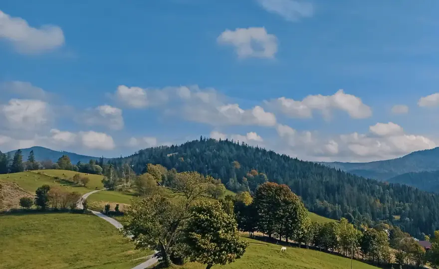 Beskidy - Najpiękniejsze szlaki na jednodniową wycieczkę