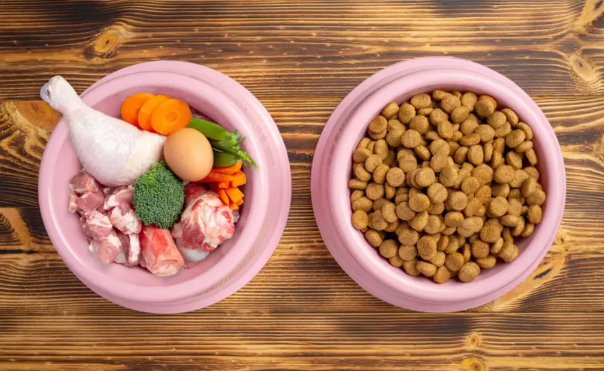 Dieta natural para perros - ¿Es segura y equilibrada?