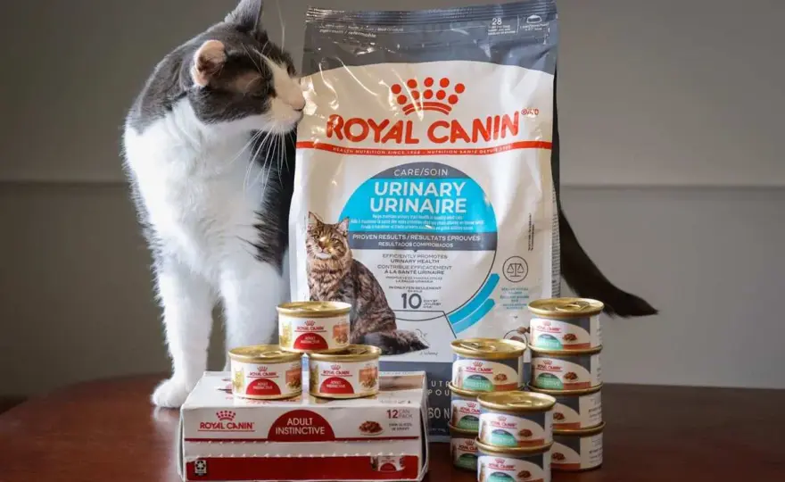 Royal Canin - Czy to dobra karma? Analiza składu i faktów