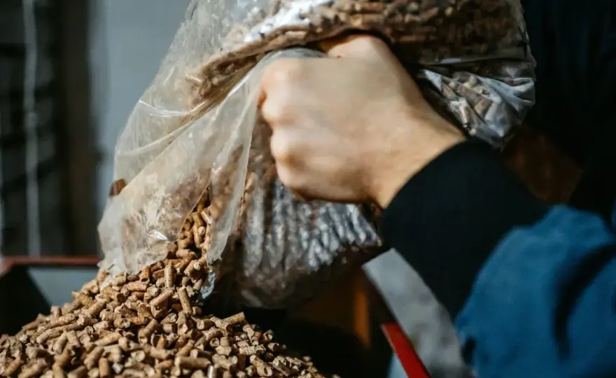 Pellet z trocin - Jak powstaje i po czym poznać wysoką jakość?
