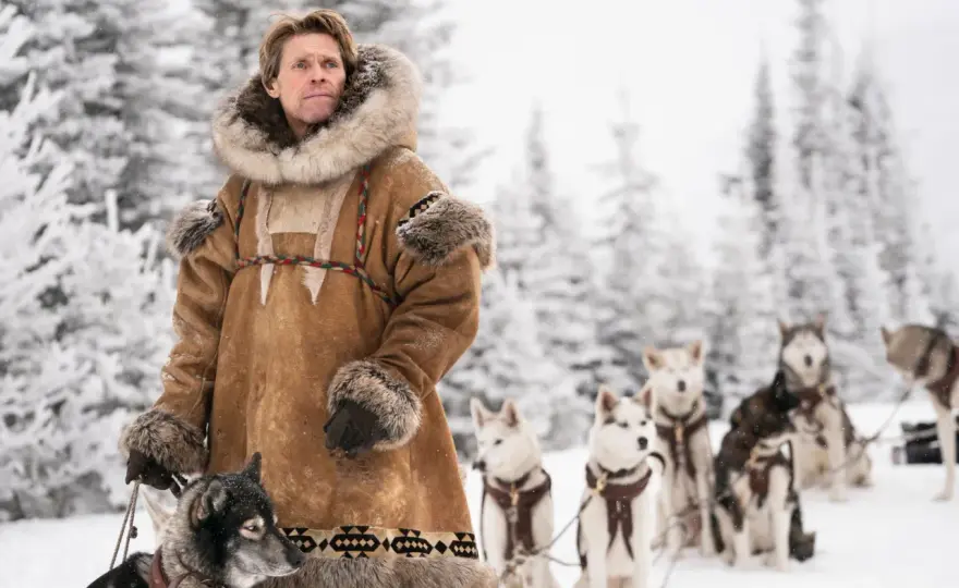 Togo – Mer än bara en hundfilm? Upptäck sanningen!