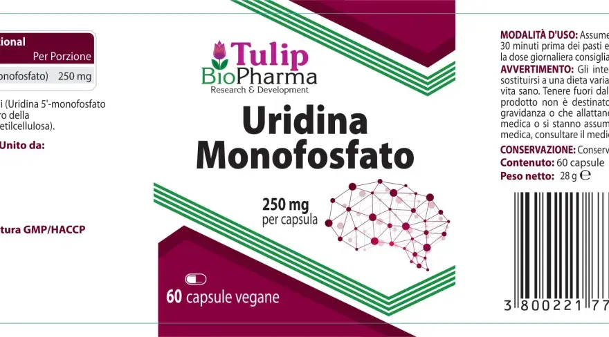 Monofosforan urydyny - Co to jest i jak wspiera Twój mózg?