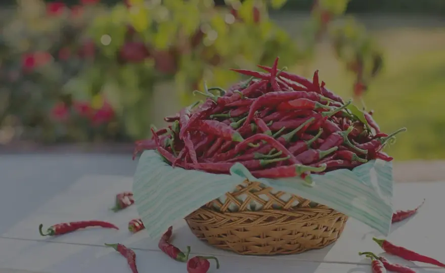Peperoncino - Mehr als nur Schärfe: Dein Guide für die Küche