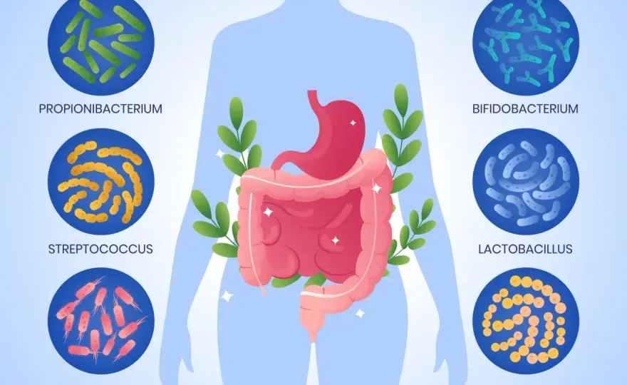 Come curare il microbiota intestinale senza integratori miracolosi?