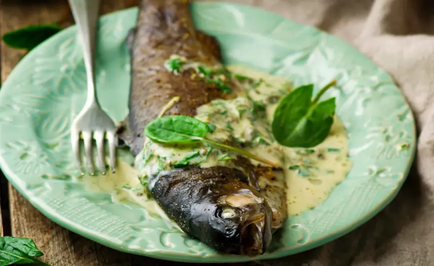 Sauce à l'oseille parfaite - Le guide pour la réussir