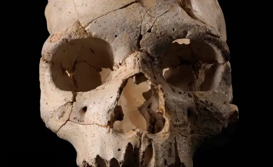 Sima de los Huesos: ¿Por qué es clave para Atapuerca?