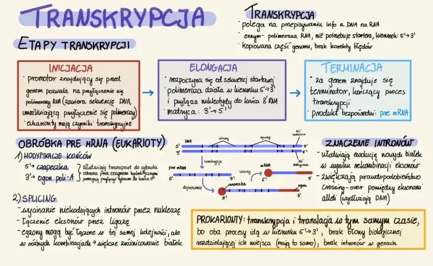 Katoda - Jak ją rozpoznać i uniknąć błędów w praktyce