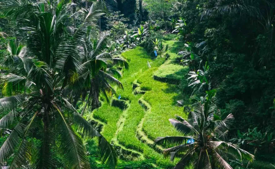 Lazy Z Spa Ubud: Polska oaza relaksu na Bali czy warto?
