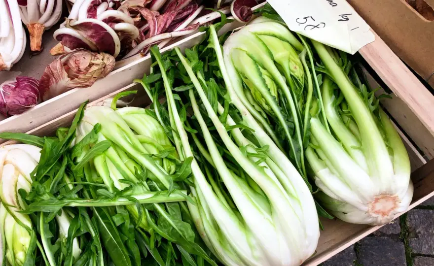 Catalogna verdura - come sceglierla e cucinarla senza sprechi