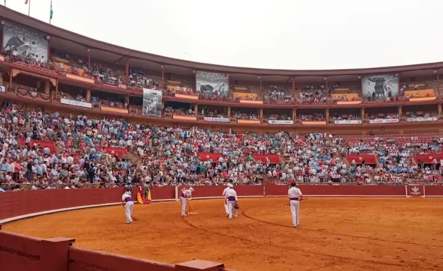 Toros Grada Seis - ¿Qué ver y cómo elegir bien tu entrada?