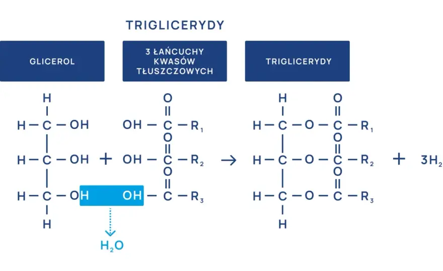 Wysokie trójglicerydy a samopoczucie - Co musisz wiedzieć?