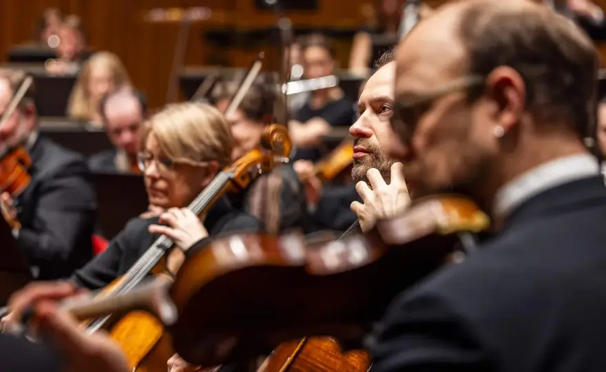 Så hittar du rätt konsert i Berwaldhallens program