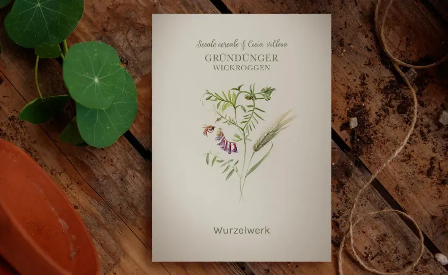Wicken im Getreide bekämpfen - So rettest du deinen Ertrag!