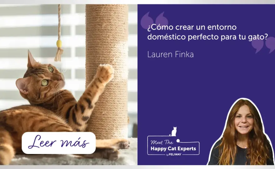 Hogar feliz para tu gato - Guía completa de bienestar felino