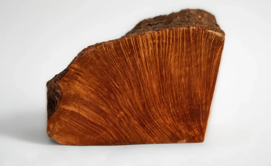 Radica nel legno - Riconoscerla e restaurarla al meglio