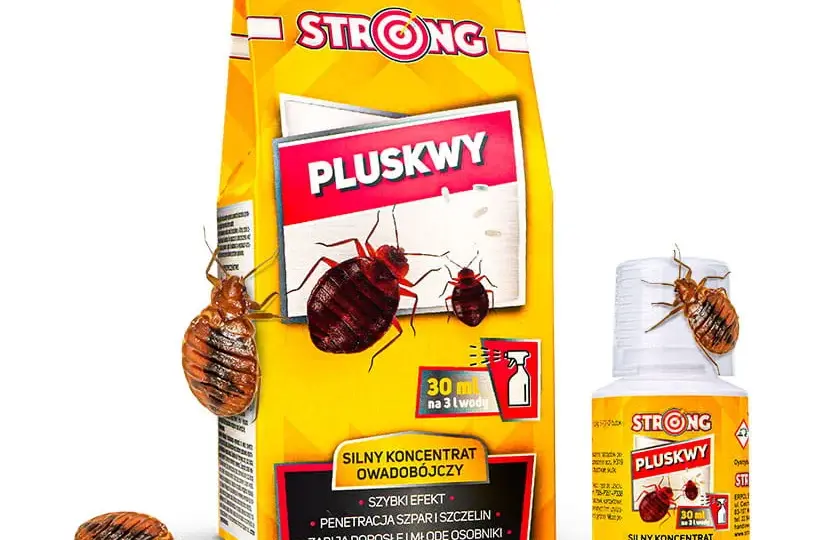 Skuteczne strategie zwalczania pluskiew — poznaj nowoczesne metody, które najlepiej się sprawdzają
