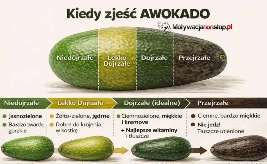 Jak wybrać idealne awokado do guacamole? Prosty przewodnik