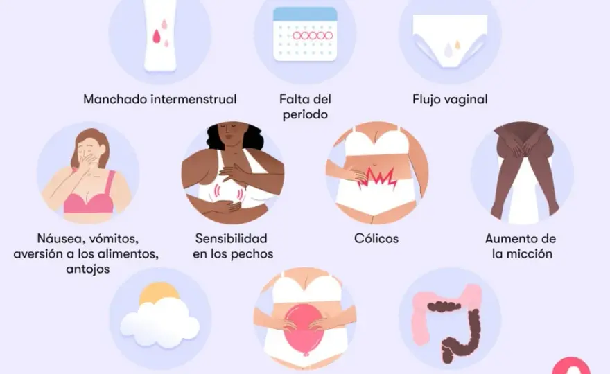 Síntomas de embarazo: señales que no puedes ignorar en tu cuerpo