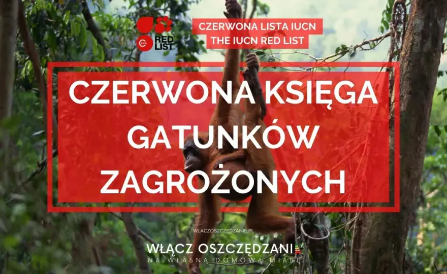 Czerwona księga gatunków zagrożonych - Jak rozumieć kategorie?