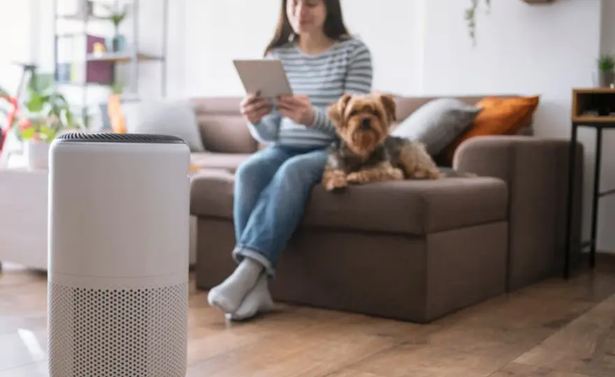 Purificador de aire, qué mejora de verdad en casa
