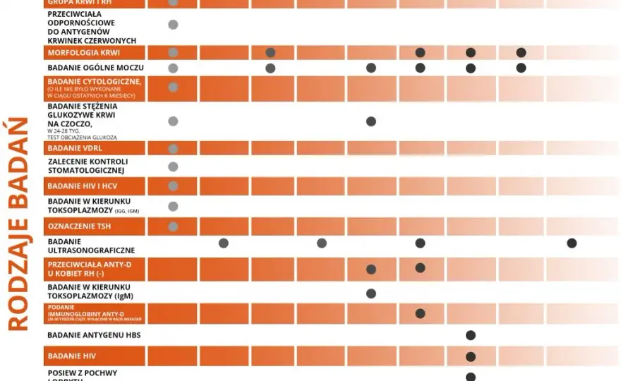 Ile badań prenatalnych w ciąży? Kluczowe informacje, które musisz znać