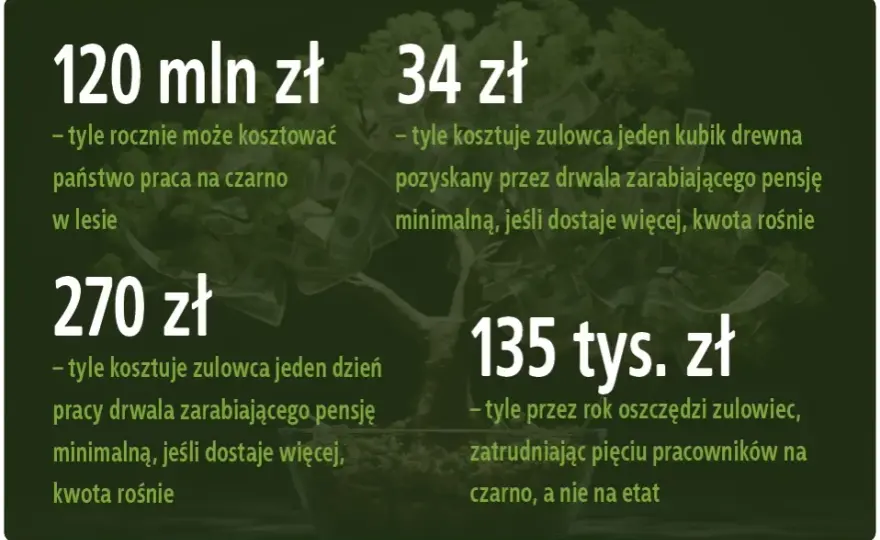 Ile można zarobić na czarno w Polsce: Realne stawki w różnych branżach