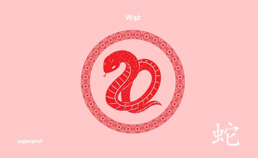 Znaki zodiaku od kiedy do kiedy - Sprawdź tabelę i uniknij pomyłki