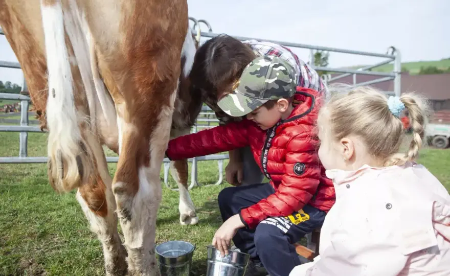 Zagroda edukacyjna: Więcej niż agroturystyka pełny przewodnik
