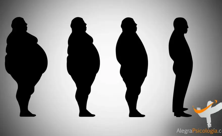Sobrepeso y Obesidad - ¿Cuál es la diferencia real?
