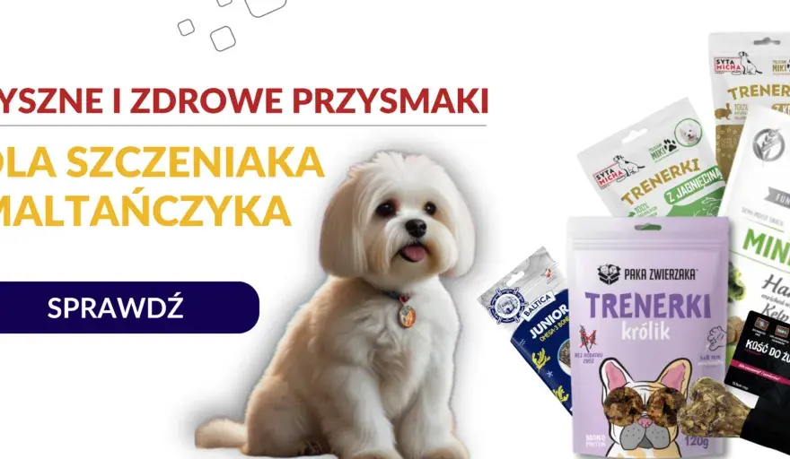 Jakie smakołyki dla szczeniaka? Wybierz mądrze! Porady eksperta