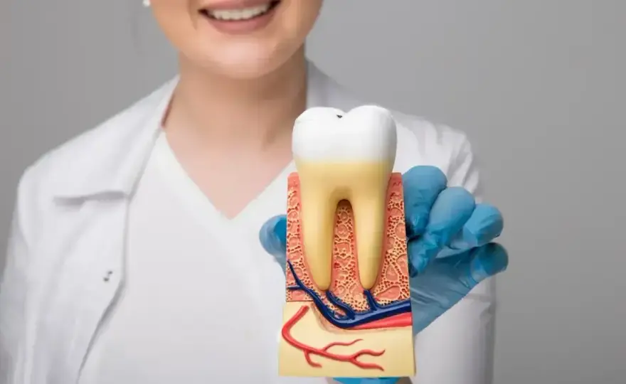 Ruchomy ząb - co robić i kiedy pilnie iść do dentysty?
