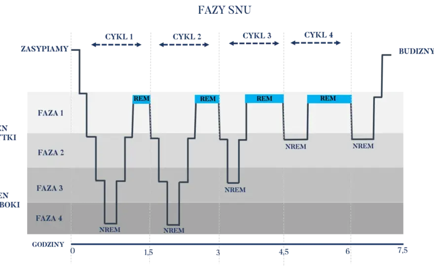 Fazy snu - NREM i REM. Jak spać, by się wyspać?