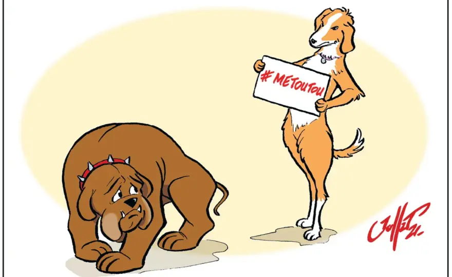 Calmer un chien en rut - Guide complet et solutions