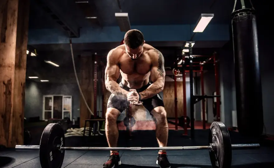 Push Pull Legs - Twój plan na siłę i masę mięśniową