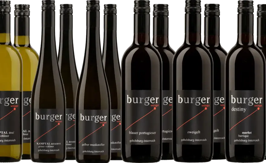Blauer Portugieser Wein - Der Guide für Kenner & Genießer