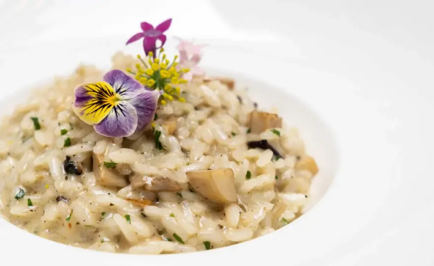 Risotto parfait - Le guide pour une texture de restaurant