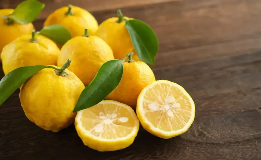 Yuzu - co to jest i jak wybrać dobry produkt?