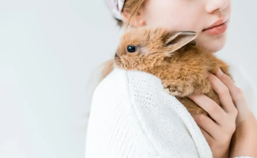 Samotność królika: Czy Twój pupil cierpi? Ekspert radzi!
