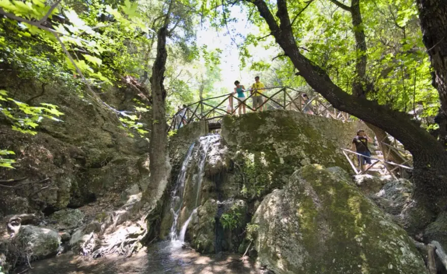 Schmetterlingstal auf Rhodos - so planst du Petaloudes richtig